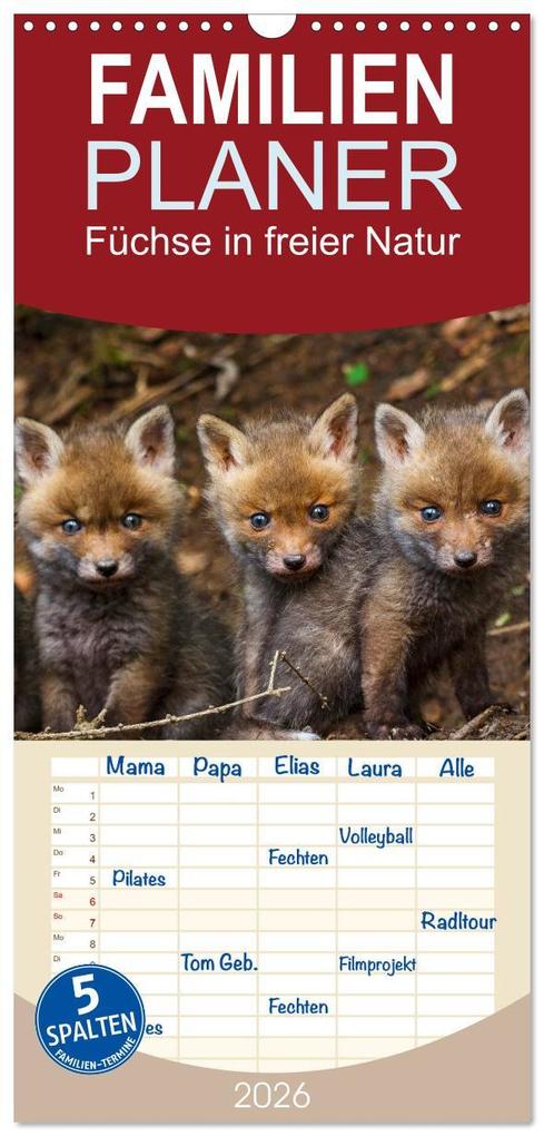 Familienplaner 2026 - Füchse in freier Natur mit 5 Spalten (Wandkalender 21 x 45 cm) CALVENDO