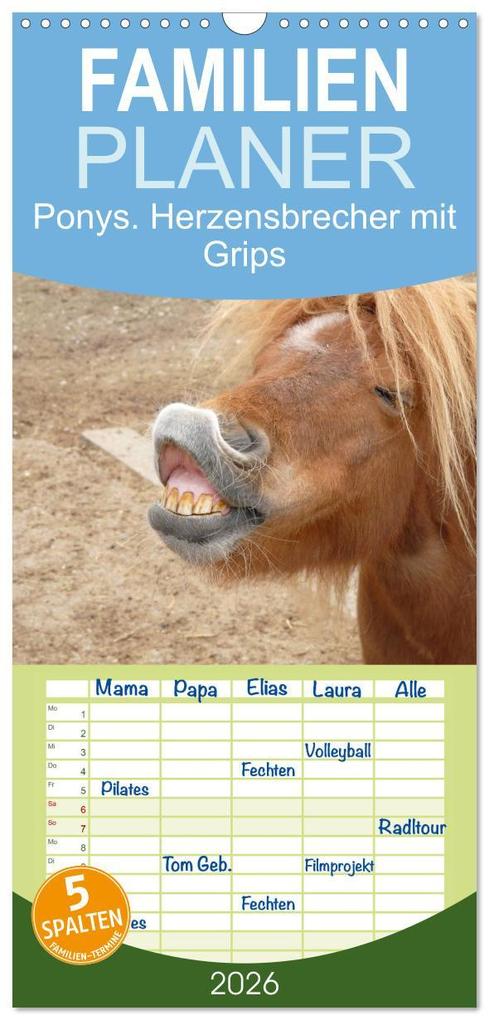 Familienplaner 2026 - Ponys. Herzensbrecher mit Grips mit 5 Spalten (Wandkalender 21 x 45 cm) CALVENDO