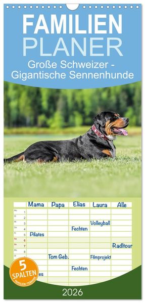 Familienplaner 2026 - Große Schweizer - Gigantische Sennenhunde mit 5 Spalten (Wandkalender 21 x 45 cm) CALVENDO