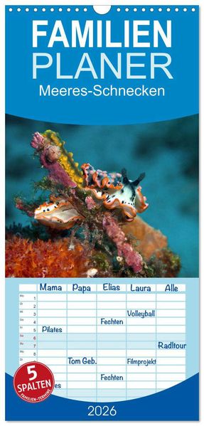 Familienplaner 2026 - Meeres-Schnecken mit 5 Spalten (Wandkalender 21 x 45 cm) CALVENDO