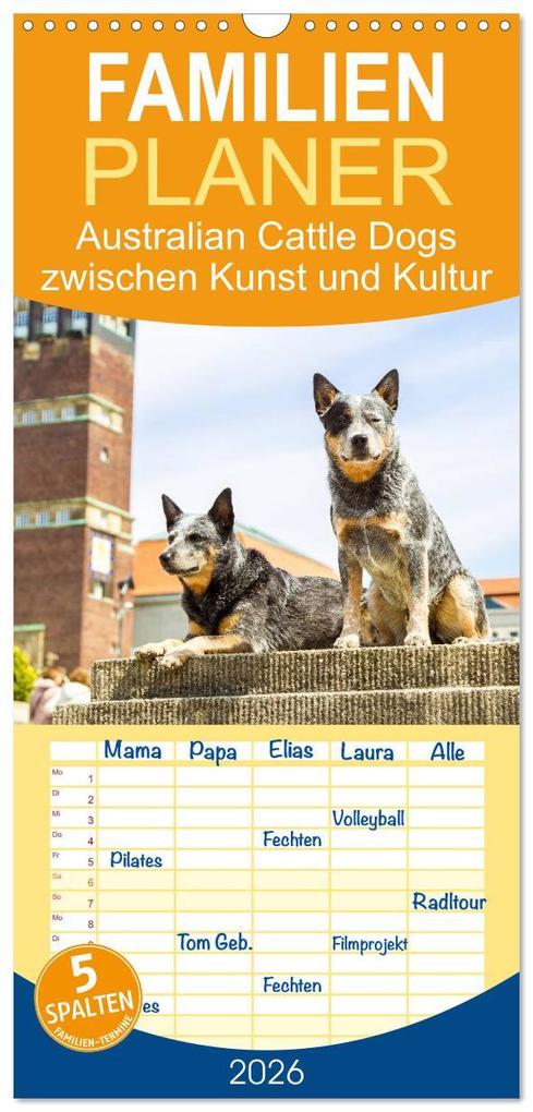 Familienplaner 2026 - Australian Cattle Dogs zwischen Kunst und Kultur mit 5 Spalten (Wandkalender 21 x 45 cm) CALVENDO