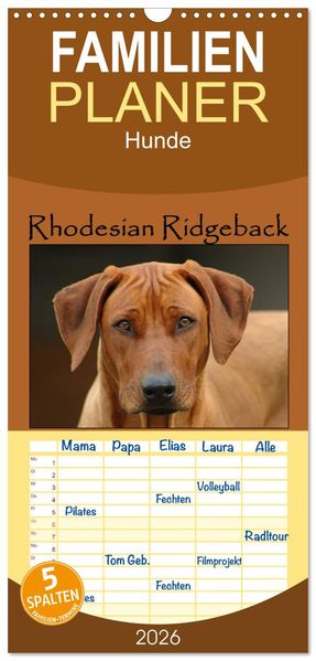 Familienplaner 2026 - Rhodesian Ridgeback Terminkalender mit 5 Spalten (Wandkalender 21 x 45 cm) CALVENDO