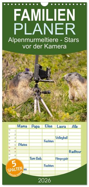 Familienplaner 2026 - Alpenmurmeltiere - Stars vor der Kamera mit 5 Spalten (Wandkalender 21 x 45 cm) CALVENDO