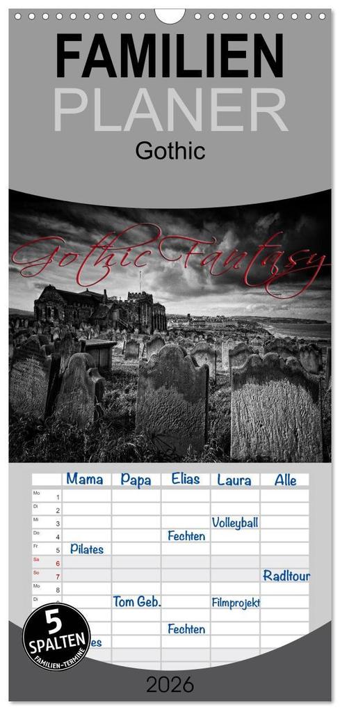 Familienplaner 2026 - Gothic Fantasy mit 5 Spalten (Wandkalender 21 x 45 cm) CALVENDO