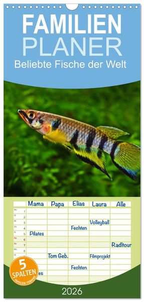 Familienplaner 2026 - Beliebte Fische der Welt mit 5 Spalten (Wandkalender 21 x 45 cm) CALVENDO