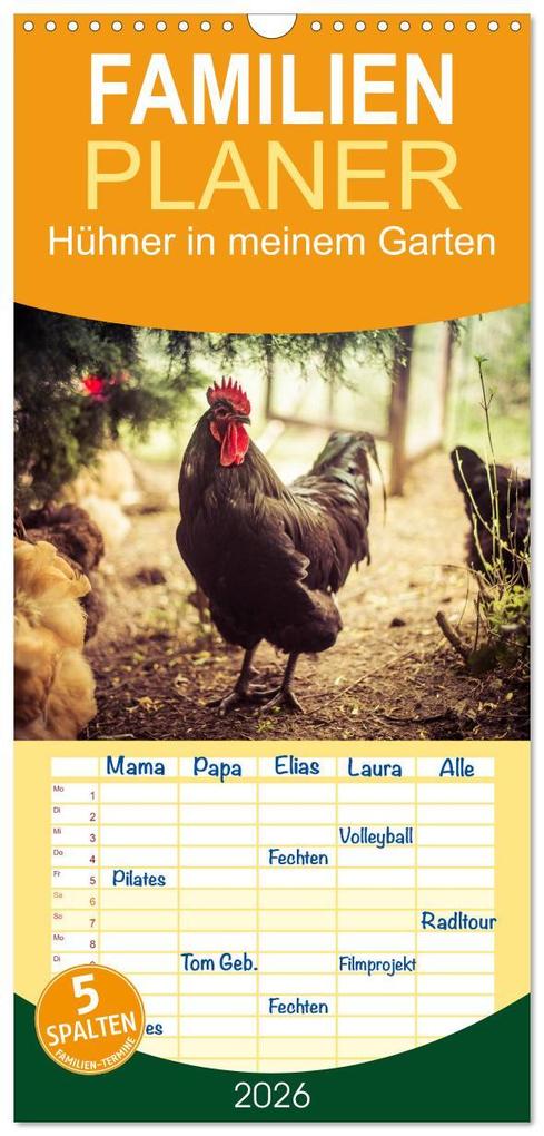 Familienplaner 2026 - Hühner in meinem Garten mit 5 Spalten (Wandkalender 21 x 45 cm) CALVENDO