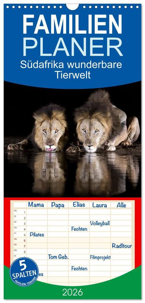 Familienplaner 2026 - Südafrika wunderbare Tierwelt mit 5 Spalten (Wandkalender 21 x 45 cm) CALVENDO