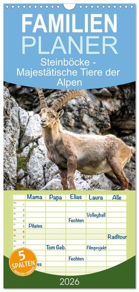 Familienplaner 2026 - Steinböcke - Majestätische Tiere der Alpen mit 5 Spalten (Wandkalender 21 x 45 cm) CALVENDO