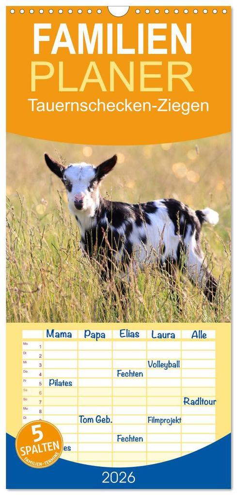 Familienplaner 2026 - Tauernschecken-Ziegen mit 5 Spalten (Wandkalender 21 x 45 cm) CALVENDO