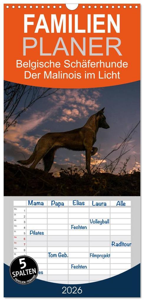 Familienplaner 2026 - Belgische Schäferhunde - Der Malinois im Licht mit 5 Spalten (Wandkalender 21 x 45 cm) CALVENDO