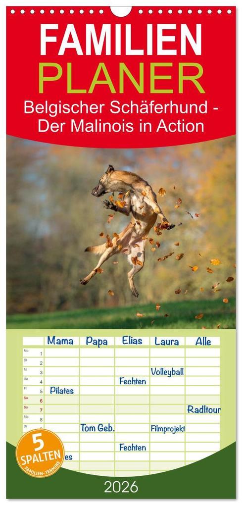Familienplaner 2026 - Belgischer Schäferhund - Der Malinois in Action mit 5 Spalten (Wandkalender 21 x 45 cm) CALVENDO
