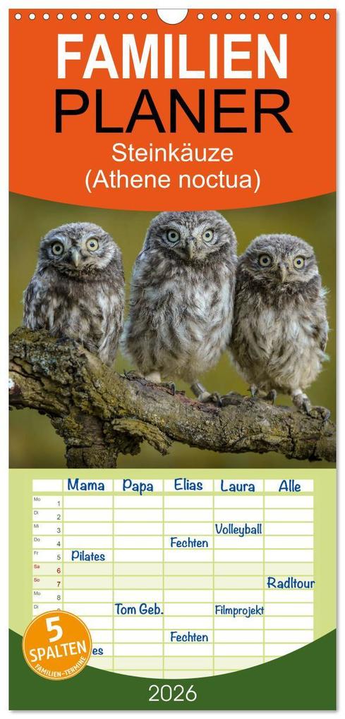Familienplaner 2026 - Steinkäuze (Athene noctua) mit 5 Spalten (Wandkalender 21 x 45 cm) CALVENDO