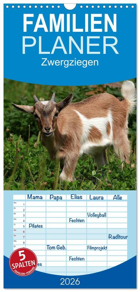 Familienplaner 2026 - Zwergziegen mit 5 Spalten (Wandkalender 21 x 45 cm) CALVENDO