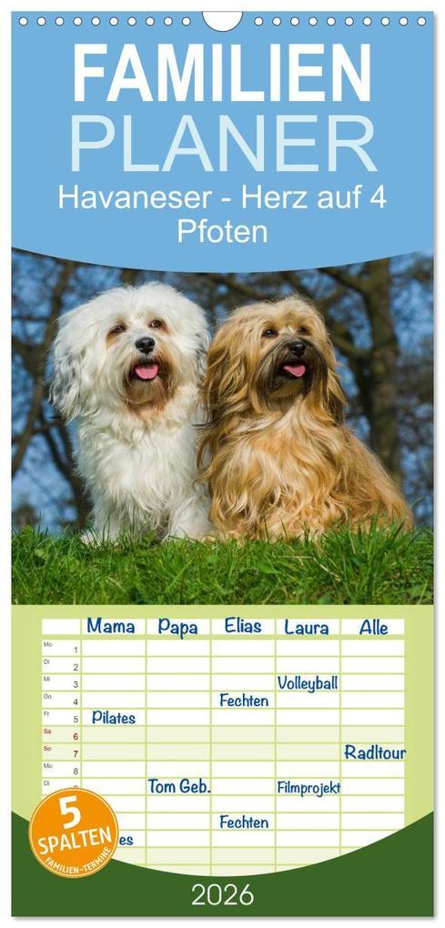 Familienplaner 2026 - Havaneser - Herz auf 4 Pfoten mit 5 Spalten (Wandkalender 21 x 45 cm) CALVENDO