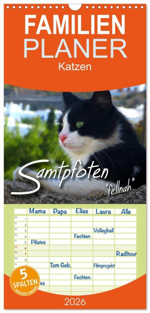 Familienplaner 2026 - SAMTPFOTEN 'fellnah' mit 5 Spalten (Wandkalender 21 x 45 cm) CALVENDO