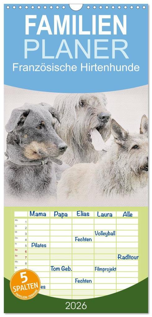 Familienplaner 2026 - Französische Hirtenhunde 2026 mit 5 Spalten (Wandkalender 21 x 45 cm) CALVENDO