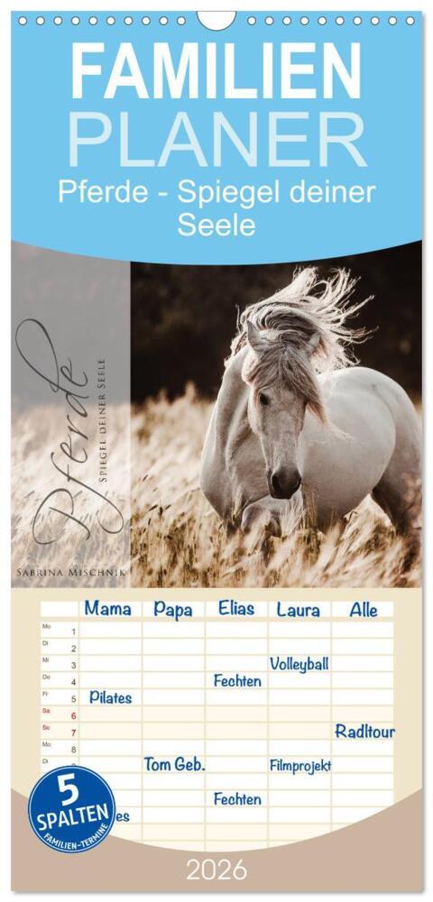 Familienplaner 2026 - Spiegel deiner Seele mit 5 Spalten (Wandkalender 21 x 45 cm) CALVENDO