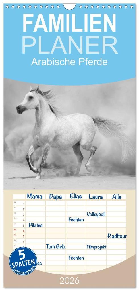 Familienplaner 2026 - Arabische Pferde mit 5 Spalten (Wandkalender 21 x 45 cm) CALVENDO