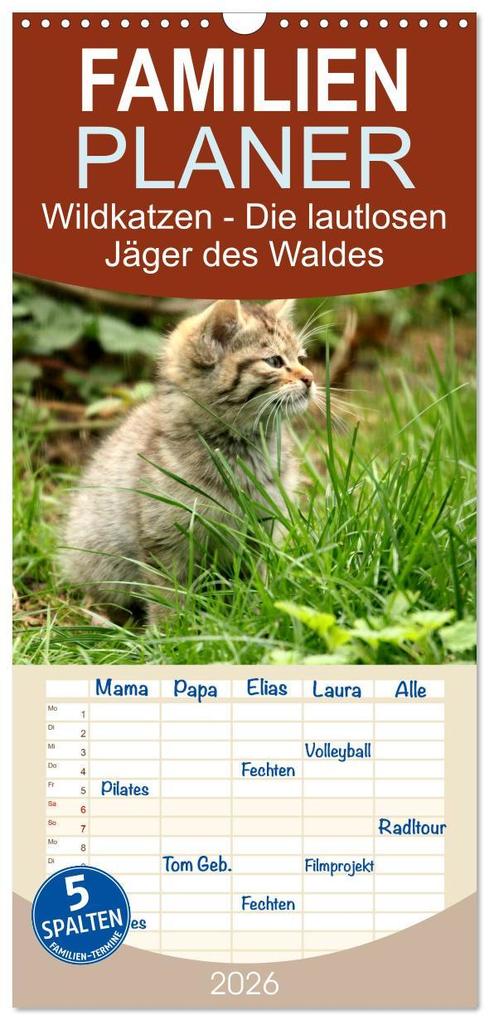 Familienplaner 2026 - Wildkatzen - Die lautlosen Jäger des Waldes mit 5 Spalten (Wandkalender 21 x 45 cm) CALVENDO