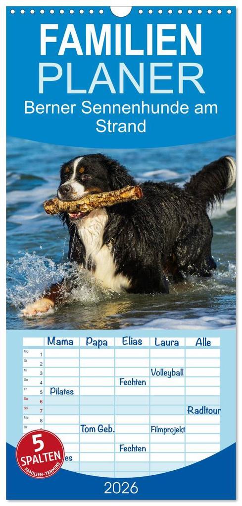 Familienplaner 2026 - Berner Sennenhunde am Strand mit 5 Spalten (Wandkalender 21 x 45 cm) CALVENDO