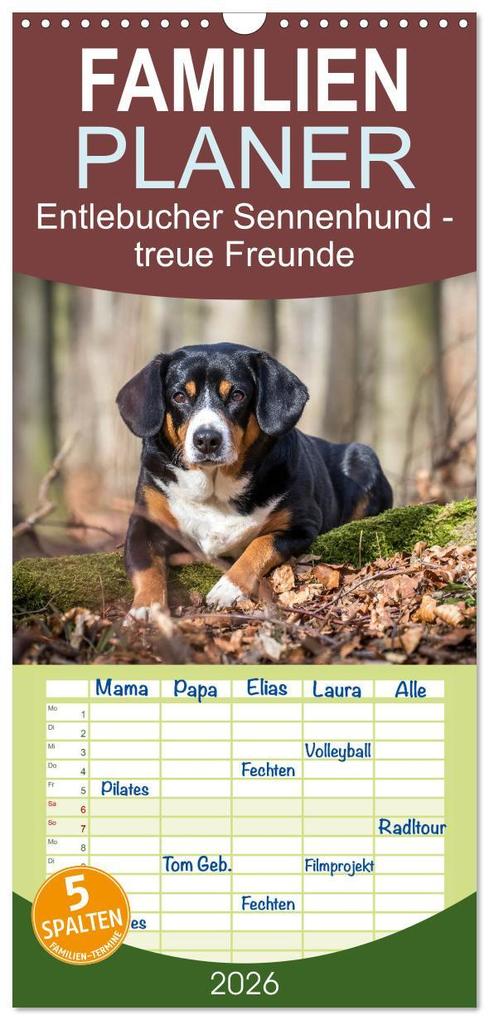 Familienplaner 2026 - Entlebucher Sennenhund - treue Freunde mit 5 Spalten (Wandkalender 21 x 45 cm) CALVENDO