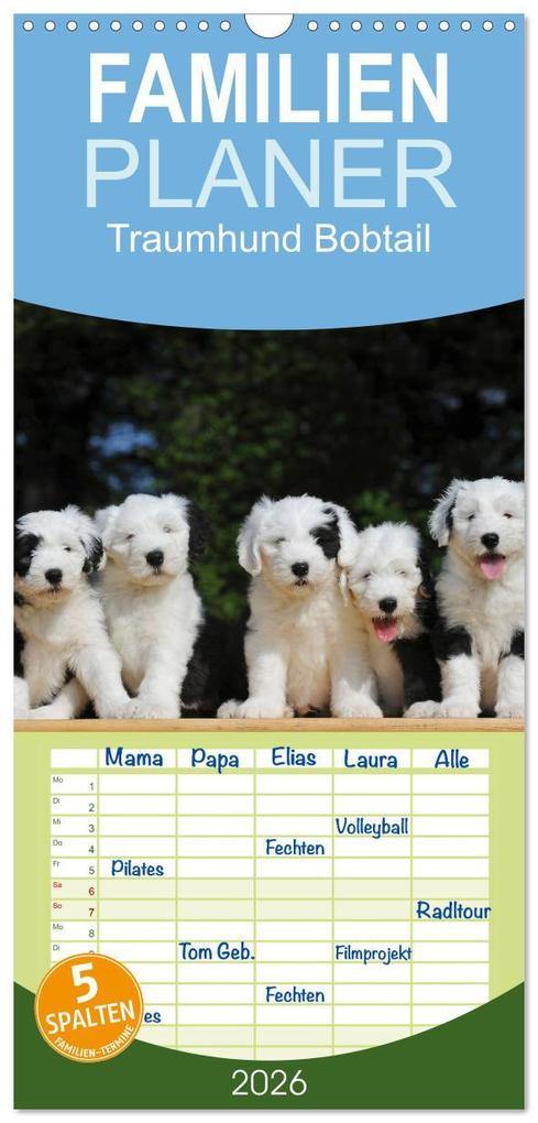 Familienplaner 2026 - Traumhund Bobtail mit 5 Spalten (Wandkalender 21 x 45 cm) CALVENDO
