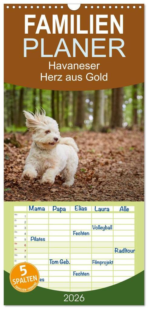 Familienplaner 2026 - Havaneser - Herz aus Gold mit 5 Spalten (Wandkalender 21 x 45 cm) CALVENDO
