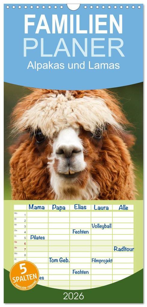 Familienplaner 2026 - Alpakas und Lamas mit 5 Spalten (Wandkalender 21 x 45 cm) CALVENDO