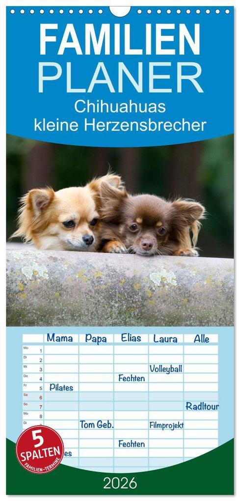 Familienplaner 2026 - Chihuahuas - kleine Herzensbrecher mit 5 Spalten (Wandkalender 21 x 45 cm) CALVENDO