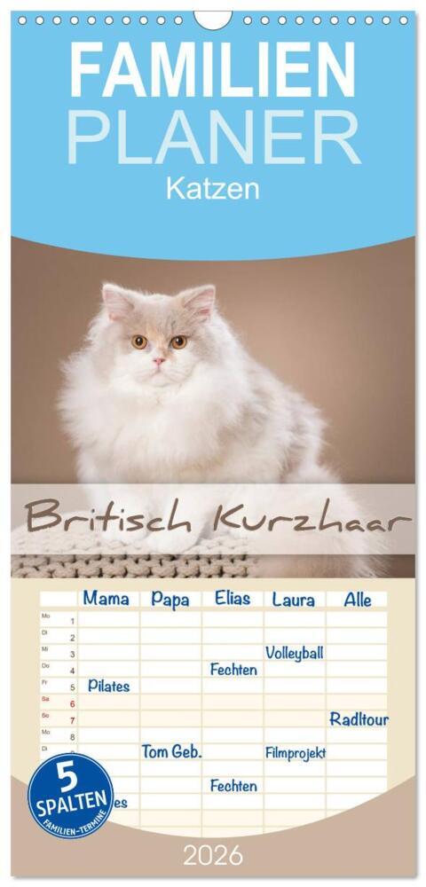 Familienplaner 2026 - Die Britisch Kurzhaar Katze mit 5 Spalten (Wandkalender 21 x 45 cm) CALVENDO