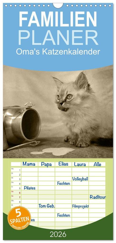 Familienplaner 2026 - Oma's Katzenkalender 2026 mit 5 Spalten (Wandkalender 21 x 45 cm) CALVENDO