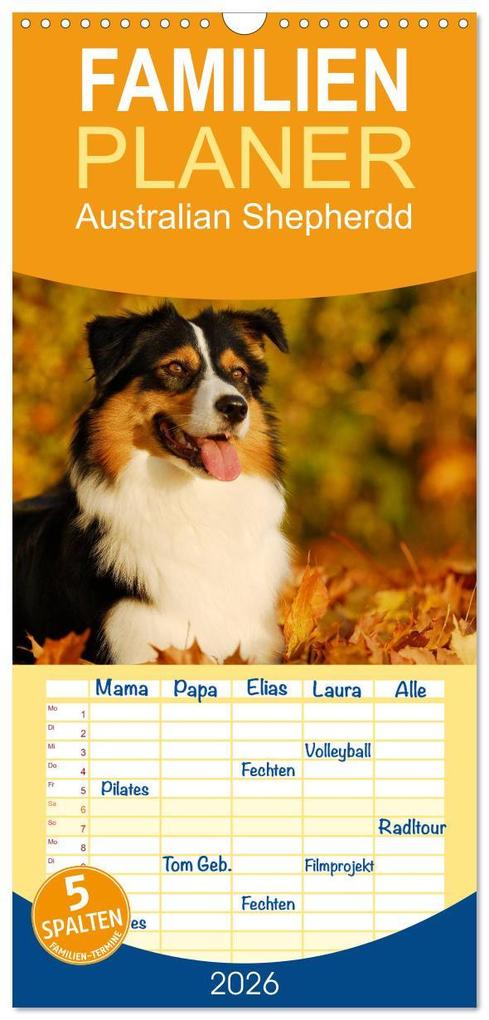 Familienplaner 2026 - Bekannt wie ein bunter Hund. Australian Shepherd mit 5 Spalten (Wandkalender 21 x 45 cm) CALVENDO