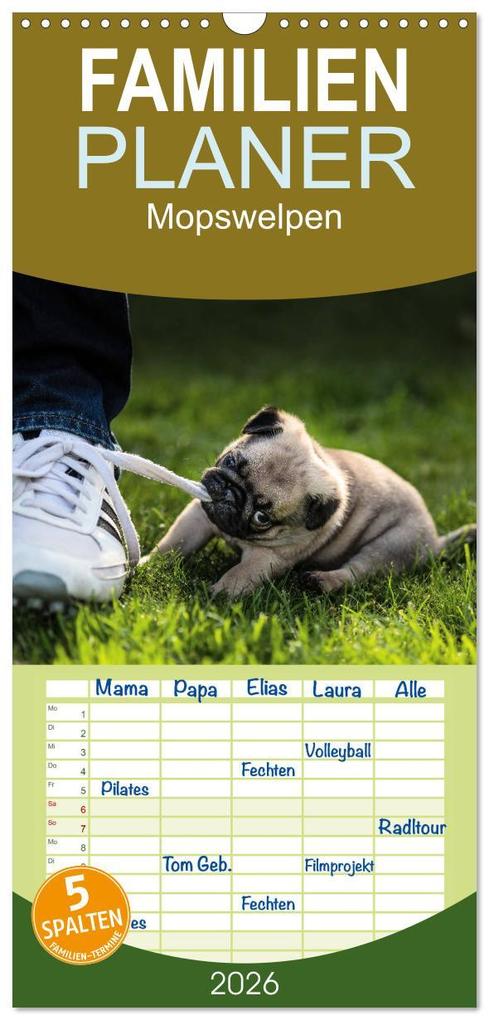 Familienplaner 2026 - Mopswelpen mit 5 Spalten (Wandkalender 21 x 45 cm) CALVENDO