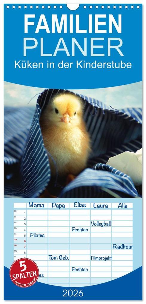 Familienplaner 2026 - Küken in der Kinderstube mit 5 Spalten (Wandkalender 21 x 45 cm) CALVENDO