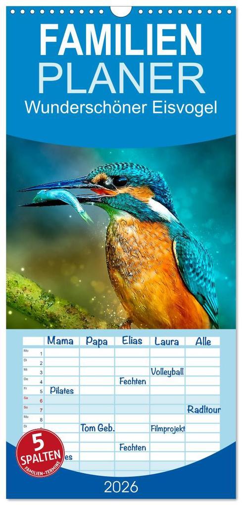 Familienplaner 2026 - Wunderschöner Eisvogel mit 5 Spalten (Wandkalender 21 x 45 cm) CALVENDO