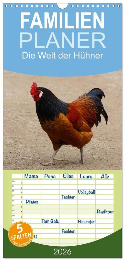 Familienplaner 2026 - Die Welt der Hühner mit 5 Spalten (Wandkalender 21 x 45 cm) CALVENDO