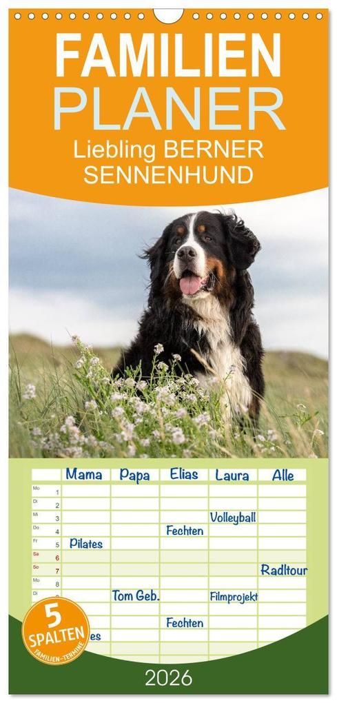 Familienplaner 2026 - Liebling BERNER SENNENHUND mit 5 Spalten (Wandkalender 21 x 45 cm) CALVENDO