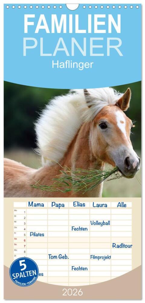 Familienplaner 2026 - Haflinger mit 5 Spalten (Wandkalender 21 x 45 cm) CALVENDO