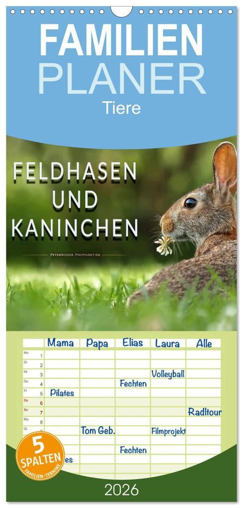 Familienplaner 2026 - Feldhasen und Kaninchen mit 5 Spalten (Wandkalender 21 x 45 cm) CALVENDO