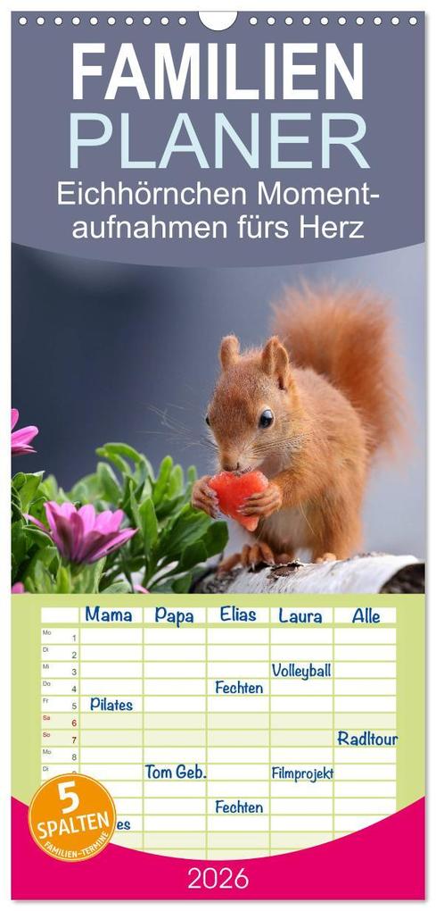 Familienplaner 2026 - Eichhörnchen Momentaufnahmen fürs Herz mit 5 Spalten (Wandkalender 21 x 45 cm) CALVENDO