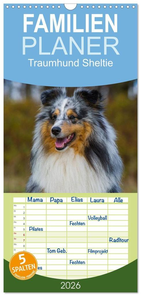 Familienplaner 2026 - Traumhund Sheltie mit 5 Spalten (Wandkalender 21 x 45 cm) CALVENDO