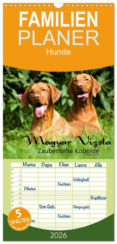 Familienplaner 2026 - Magyar Vizsla - Zauberhafte Kobolde mit 5 Spalten (Wandkalender 21 x 45 cm) CALVENDO