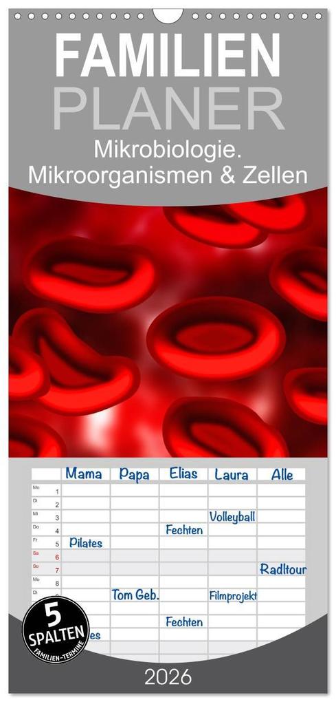 Familienplaner 2026 - Mikrobiologie. Mikroorganismen und Zellen mit 5 Spalten (Wandkalender 21 x 45 cm) CALVENDO