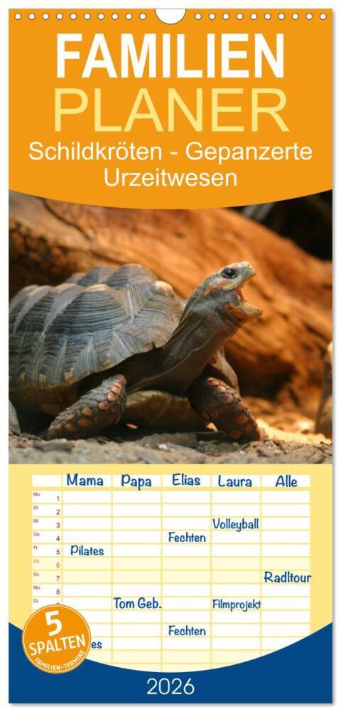 Familienplaner 2026 - Schildkröten - Gepanzerte Urzeitwesen mit 5 Spalten (Wandkalender 21 x 45 cm) CALVENDO