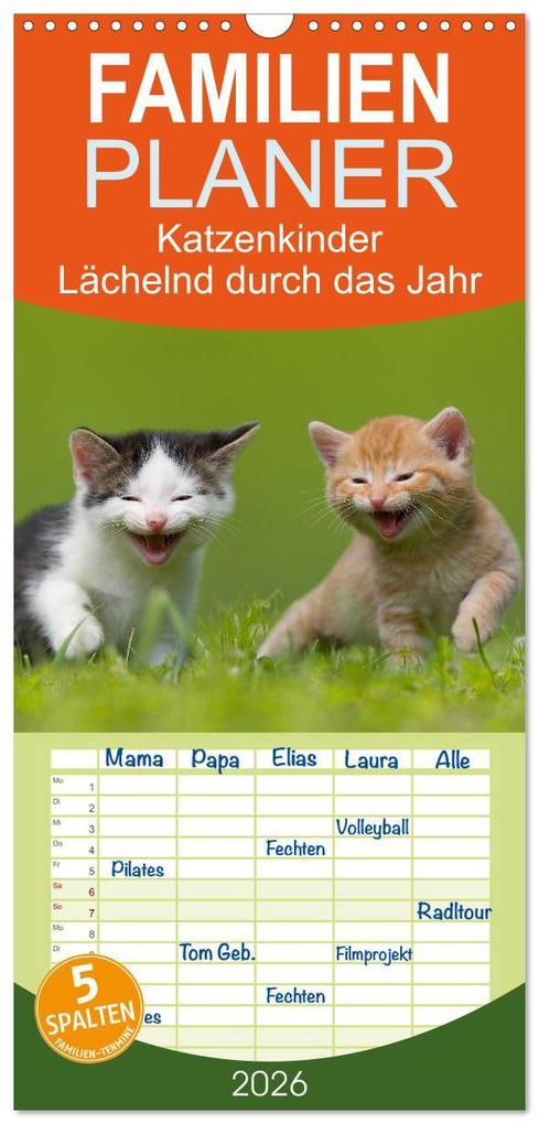 Familienplaner 2026 - Lächelnd durchs Jahr - Katzenkinder -Familienplaner hoch mit 5 Spalten (Wandkalender 21 x 45 cm) CALVENDO