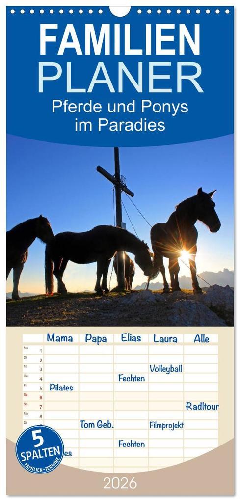 Familienplaner 2026 - Pferde und Ponys im Paradies mit 5 Spalten (Wandkalender 21 x 45 cm) CALVENDO