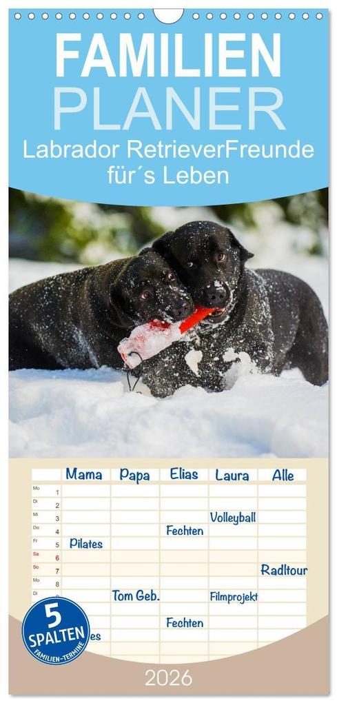 Familienplaner 2026 - Labrador Retriever - Freunde fürs Leben mit 5 Spalten (Wandkalender 21 x 45 cm) CALVENDO