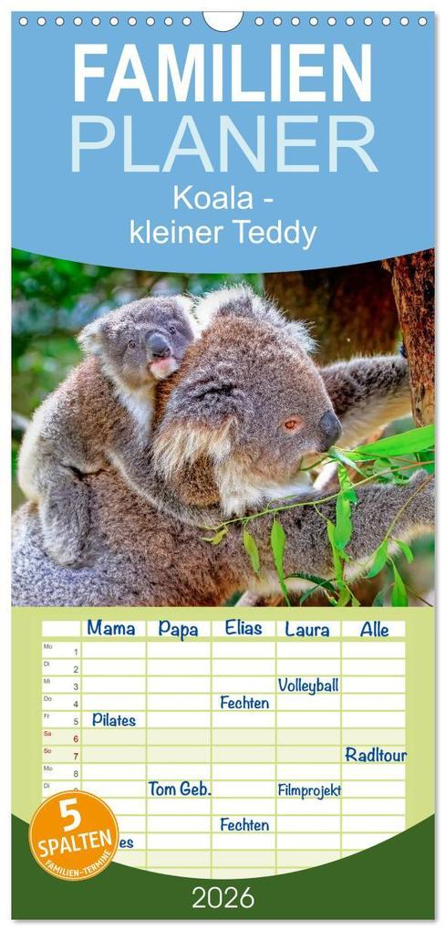 Familienplaner 2026 - Koala - kleiner Teddy mit 5 Spalten (Wandkalender 21 x 45 cm) CALVENDO