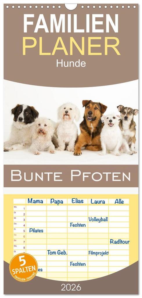Familienplaner 2026 - Bunte Pfoten mit 5 Spalten (Wandkalender 21 x 45 cm) CALVENDO