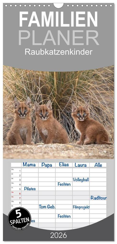 Familienplaner 2026 - Raubkatzenkinder mit 5 Spalten (Wandkalender 21 x 45 cm) CALVENDO